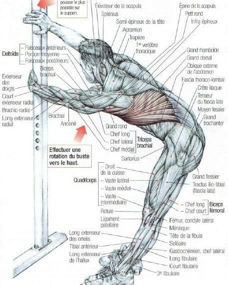 Stretching Latissimus Dorsi Lats Muscle Stretches Stretching