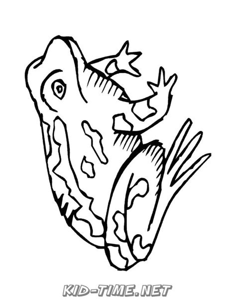 Realistic Frog Coloring Coloring Pages