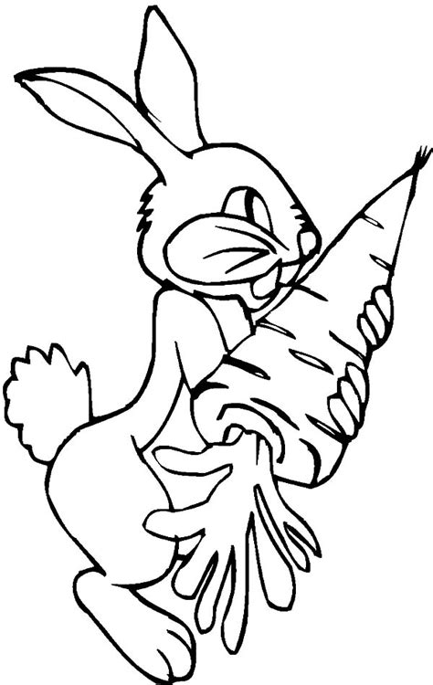 Rabbit Eat Carrot Coloring Pages Best Place To Color
