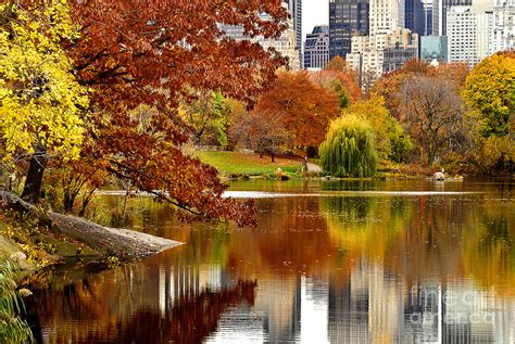 Фотографии преку кои ќе ја почувствуваме „Есента во Њујорк Runway