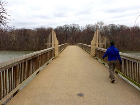 Explore The Surprises Of A Theodore Roosevelt Island Hike