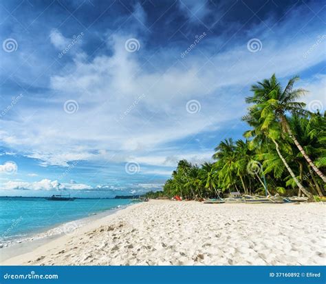 Beautiful Tropical Beach And Blue Sky Stock Photo Image Of Background