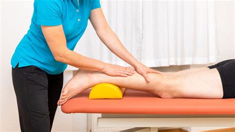 Physiotherapy And Adductor Tendinopathy Edgewater Physiotherapy