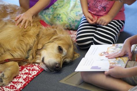 Children Read To Dog At Vancouver Community Library The Columbian