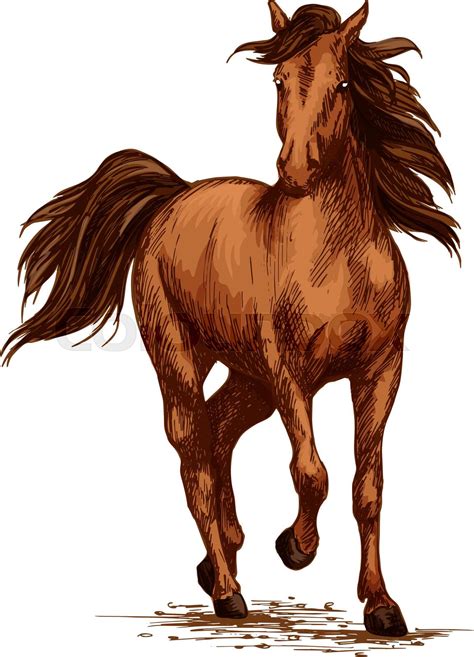 Brown Horse Running Gallop On Races Vector Sketch Stock Vector