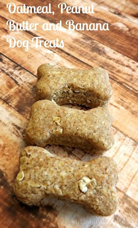 Oatmeal Peanut Butter And Banana Dog Treats Recipe Dog Biscuit