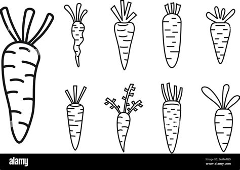 Food Carrot Icons Set Outline Set Of Food Carrot Vector Icons For Web
