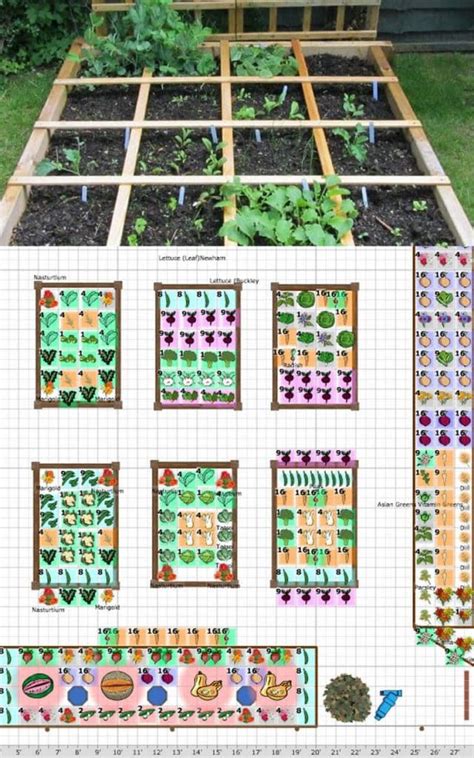 Vegetable Garden Layout 7 Best Design Secrets Garden Layout