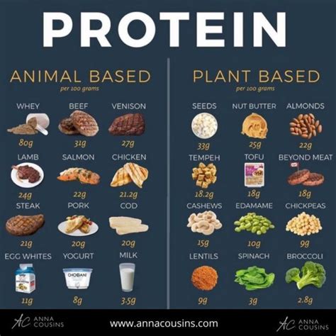 How To Get More Protein In Your Diet