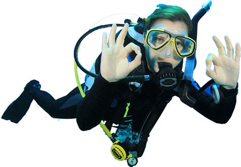 Diver Png Transparent Image Download Size 800x555px