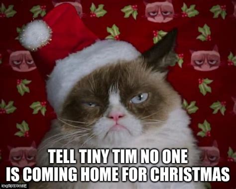 Grumpy Cat Christmas Imgflip