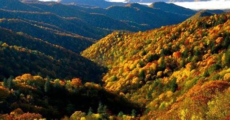 Fall Scenerysmoky Mountains Mountains In Tennessee Scene