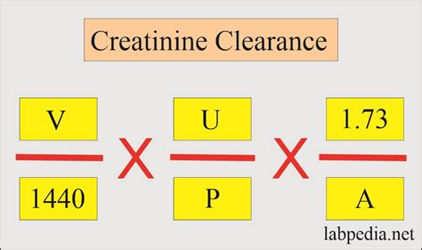 Creatinine Clearance CrC Test Glomerular Filtration Rate GFR