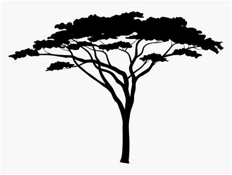 Tree African Silhouette Clipart Acacia Clip Africa Jungle Life