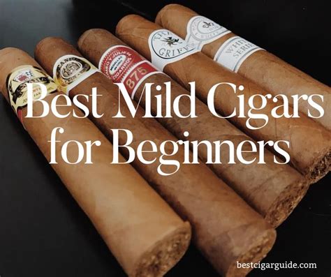 If You Are Beginner And Wants To Try Some Cigars Here Are The Best