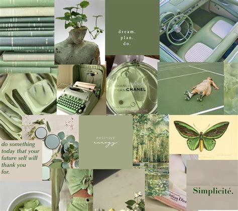 Sage Green Aesthetic Collage Wallpaper Laptop Draw Spatula Images And