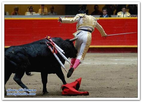 صور مصارعة الثيران في أسبانيا لفلي سمايل
