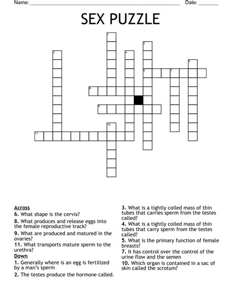 Sex Puzzle Crossword Wordmint