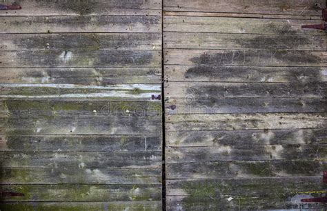 Old Weathered Floor Planks Stock Image Image Of Moss Grunge 79301875