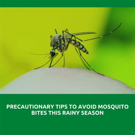 Advans Nigeria Precautionary Tips To Avoid Mosquito Bites This Rainy