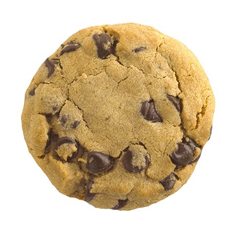 Cookie PNG Transparent Cookie.PNG Images. | PlusPNG