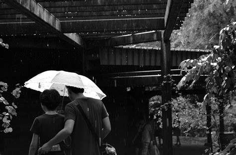 Free Images : black and white, street, rain, crowd, love, umbrella