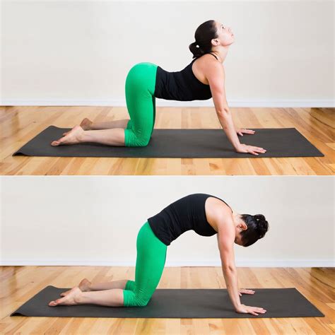 Cat Cow Pose Five Minute Yoga Sequence Popsugar Fitness Photo 3