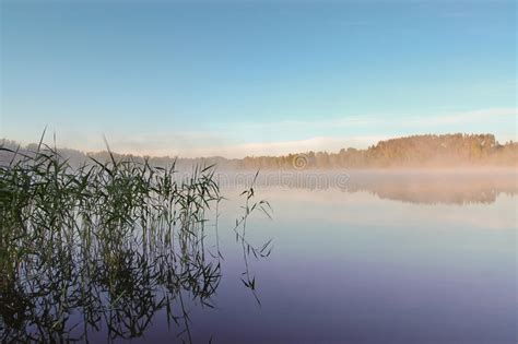 Morning Mist Over Lake Stock Image Image Of Estonia 68048557