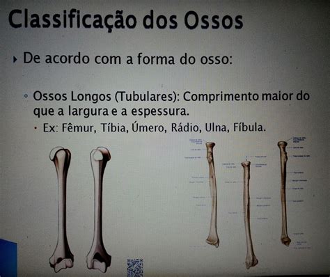 Somosmaismassoterapia Aula Anatomia 2905