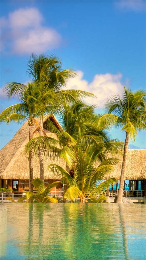Tropical Beach Resort Background