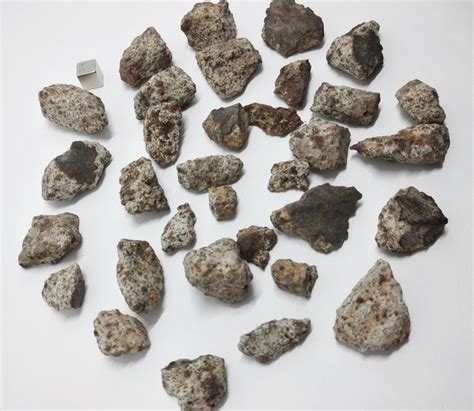 Lot Of Rocky Meteorite Chondrite Type Nwa 275gr Lot X33 Catawiki
