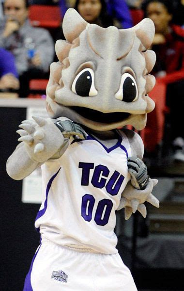 Crazy College Mascots Mascot Tcu Horned Frogs Horned Frogs