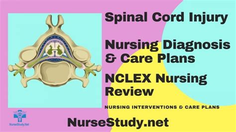 Spinal Cord Injury Nursing Diagnosis And Care Plans Nursestudynet