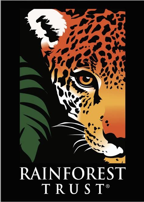 The Rainforest Trust The Tree Conference Network