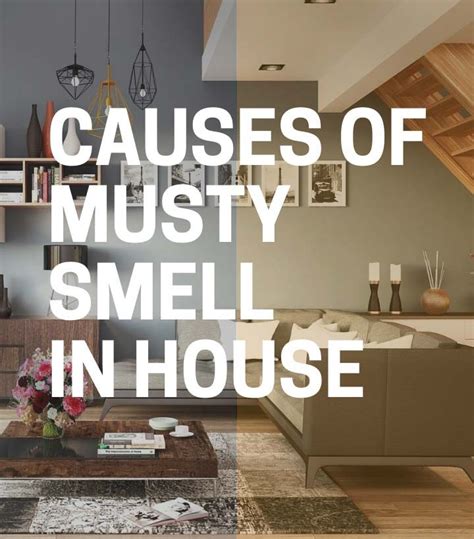Musty Smell In House Heres Whats Causing It Clean On Point