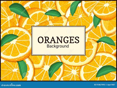 Rectangular Label On Citrus Oranges Fruits Background Vector Card