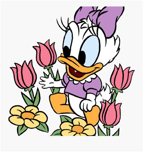Transparent Daisy Duck Clipart Baby Daisy Duck Coloring