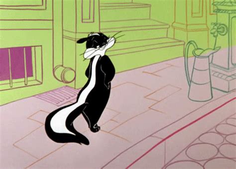 Pepe Le Pew Looney Tunes Penelope Pussycat On Gifer By Whiteweaver