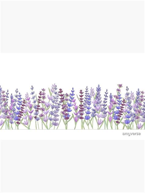 A Painting Of Lavender Flowers On A White Background