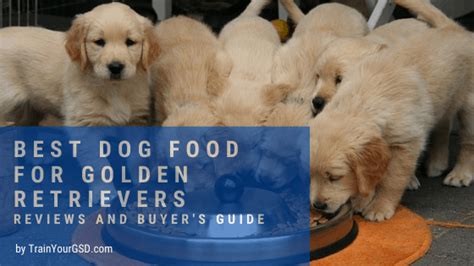 One of the major requirements in a food for golden retriever puppies is the correct ratio of calcium to phosphorus. The 7 Best Dog Foods For Golden Retrievers In 2021 ...