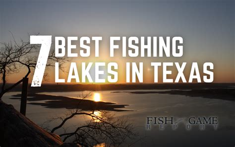 7 Of The Best Fishing Lakes In Texas Fish And Game Report