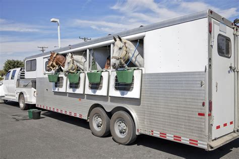 The Basics Of Horse Trailers