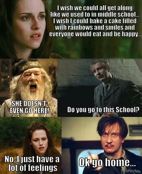 Harry Pottertwilight Funny Harry Potter Memes Hilarious