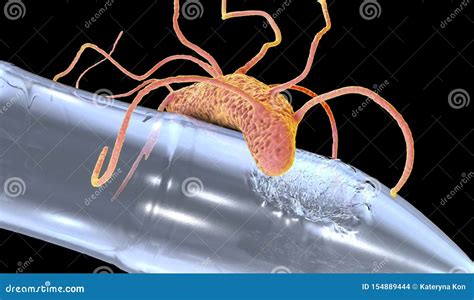 Plastic Degrading Bacteria Ideonella Sakaiensis Stock Illustration