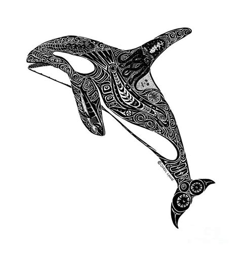 Tribal Orca By Carol Lynne Orca Tattoo Whale Art Haida Art
