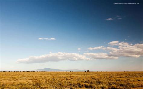 Serengeti National Park Wallpapers Wallpaper Cave