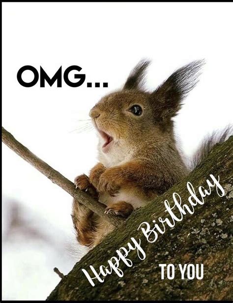 Omg Happy Birthday Funny Squirrel Funny Happy Birthday Messages