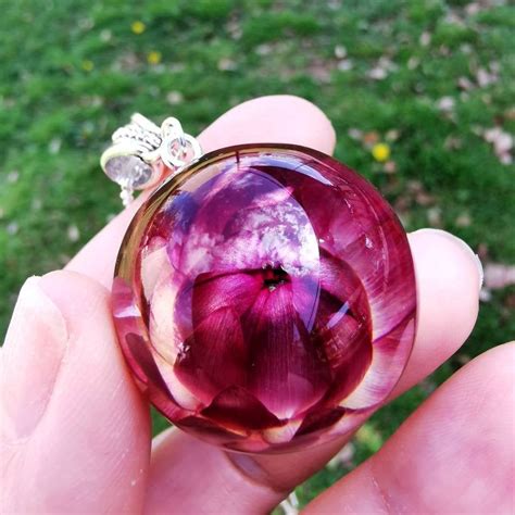 Silver Necklace With Real Dried Flower Resin Handmade Pendant For Her Dark Pink Gelichrysum