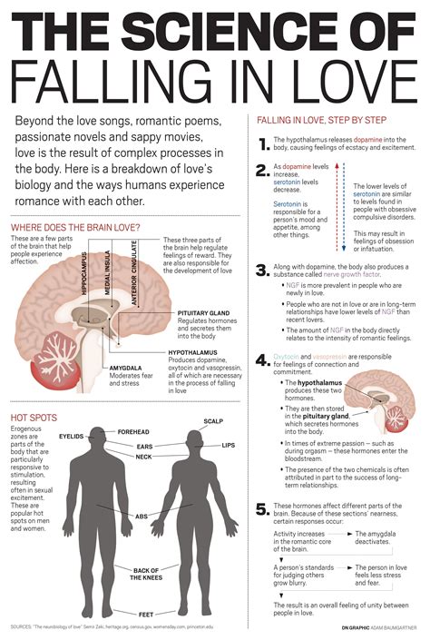 Book by louis nizer, 1948. Your Brain on Love infographic | MeetMindful