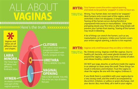 Vaginas All You Need To Know About Sex In One Helpful Infographic Popsugar Love Sex